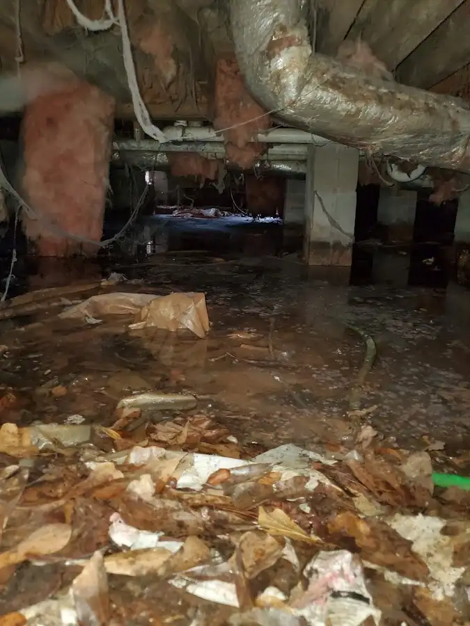 Crawl space flood assessment for Leak Detection & Repair in Greenwich